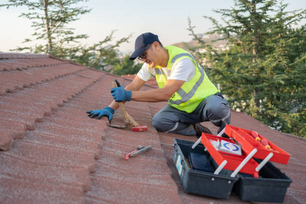 Best Metal Roofing Contractor  in Naval Academy, MD